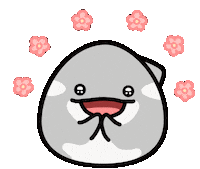 Orca Sticker