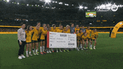 Celebration Goal GIF by Football Australia