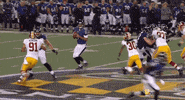 fire season GIF
