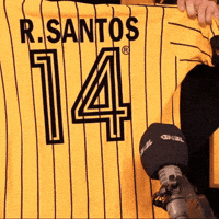 oncashorts 14 mbl oncashorts onça shorts GIF