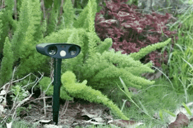 amis0d23 giphygifmaker giphygifmakermobile ultrasonic animal garden repeller GIF