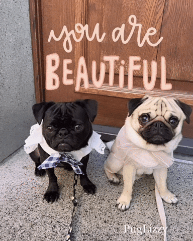 Love You Pugs GIF