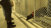 GIF by Mashable