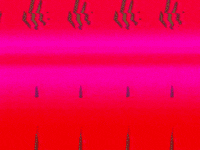Video Art GIF by cskonopka