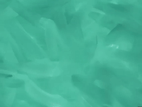 season 6 boating buddies GIF by SpongeBob SquarePants