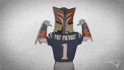 Football Sport GIF by New England Patriots