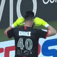 Stade Rennais Celebration GIF by Ligue 1
