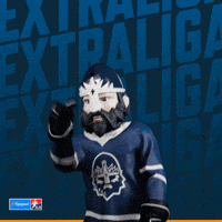 Hockey Hokej GIF by Tipsport extraliga