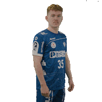 Handball Faust Sticker by DAIKIN HBL