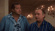 christmas vacation GIF by hero0fwar