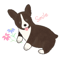 Animated Sticker