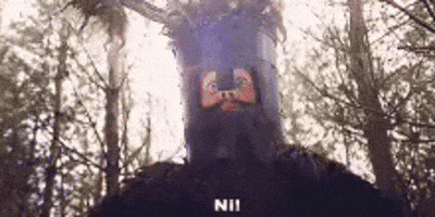 jodycole monty python knights who say ni GIF