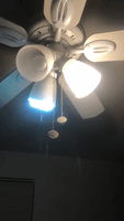 Water coming through lighting fixture and fan!