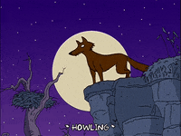 season 14 episode 13 GIF