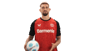 Bayer Leverkusen Ball Sticker by Bundesliga