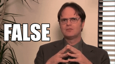 The Office Dwight False GIF