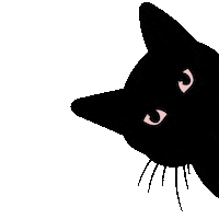 TabbyChique tabby cat eyes tabbychique zwarte kat Sticker