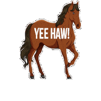 Horse Saddle Up Sticker by Jake Owen