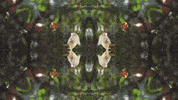 Art Love GIF by jorgemariozuleta