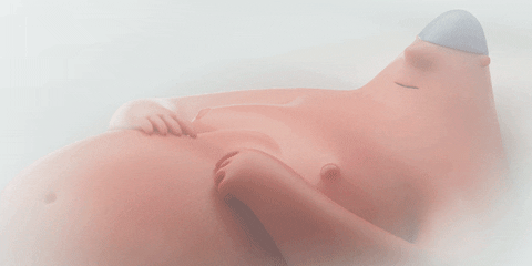 Sexy Caress GIF by ENSI
