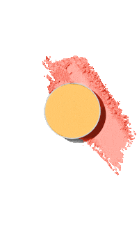 James Charles Beauty Sticker by Morphe