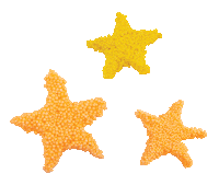 Space Wow Sticker