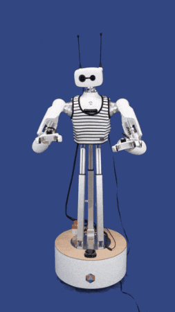 Robot Reachy GIF by pollenrobotics