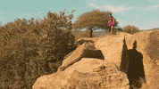 Da Capo Smea GIF by Sony Music Africa