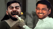 Ipl Csk GIF
