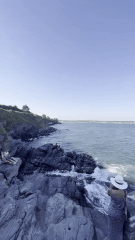 rodgcm giphyupload GIF