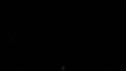 Energy Drink GIF by Rogue Energy