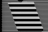 p_spurlock preston spurlock GIF