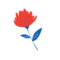 Flower Hannn Sticker by Healthy Ageing Network Northern Netherlands