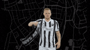 Svs1916 GIF by SV Sandhausen