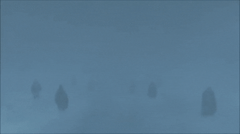 summer people GIF