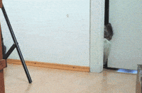 Tired Go To Sleep GIF
