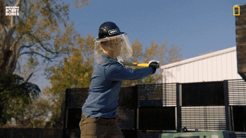 Bobbybones GIF by National Geographic Channel