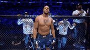Sport Mma GIF by UFC