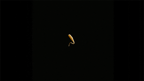 cheese size matters GIF by ADWEEK