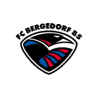 fcbergedorf85 hamburg frauenfussball concordia dfbfrauen Sticker