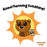 Good Morning Sun GIF by VeeFriends