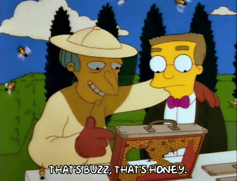 Season 3 Honey GIF by The Simpsons