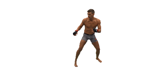 ufc mma Sticker by Stephen "Wonderboy" Thompson