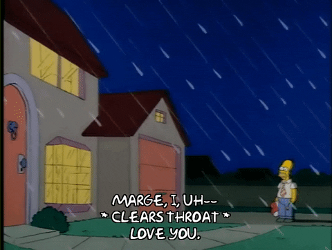 Season 1 Episode 13 GIF by The Simpsons