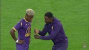 ligue 1 soccer GIF by Toulouse Football Club