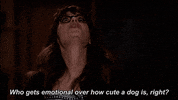fox GIF by New Girl