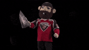 GIF by WHL Giants