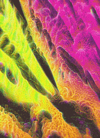 Pixel Wtf GIF by Kenaim