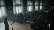 genius tv GIF by National Geographic Channel