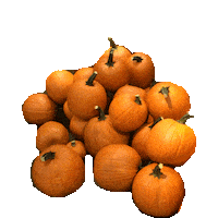 fall STICKER by imoji